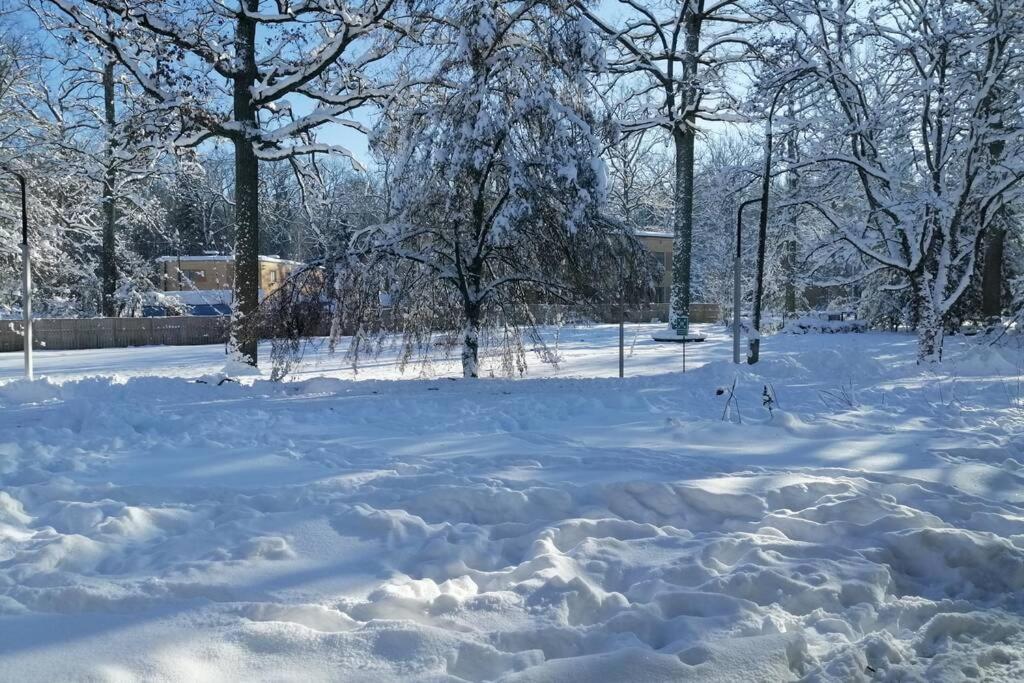 Nowoczesny Apartament W Puszczy Bialowieskiej Hajnówka Eksteriør billede